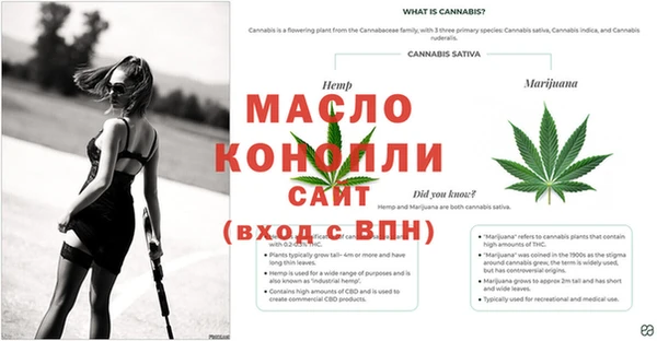 крисы Рославль