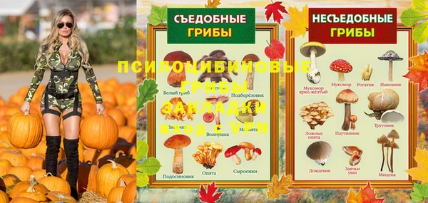 твердый Зеленодольск