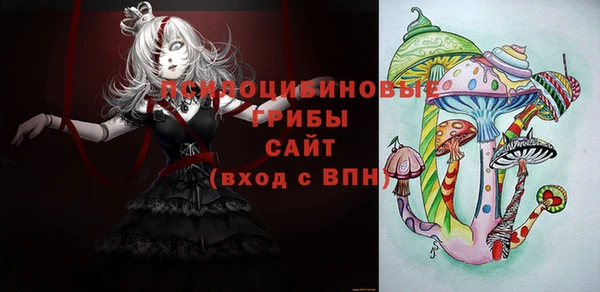 крисы Рославль