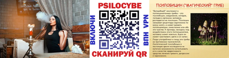 Галлюциногенные грибы Psilocybe  Слободской 